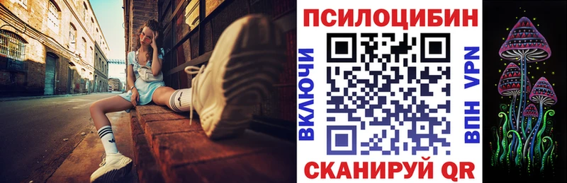 Купить закладки  Большой Камень  Галлюциногенные грибы Psilocybine cubensis 